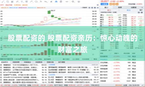 股票配资的 股票配资亲历：惊心动魄的财富之旅