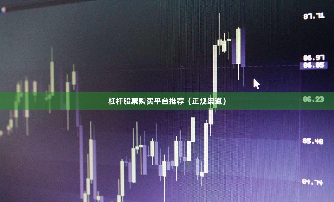 杠杆股票购买平台推荐（正规渠道）